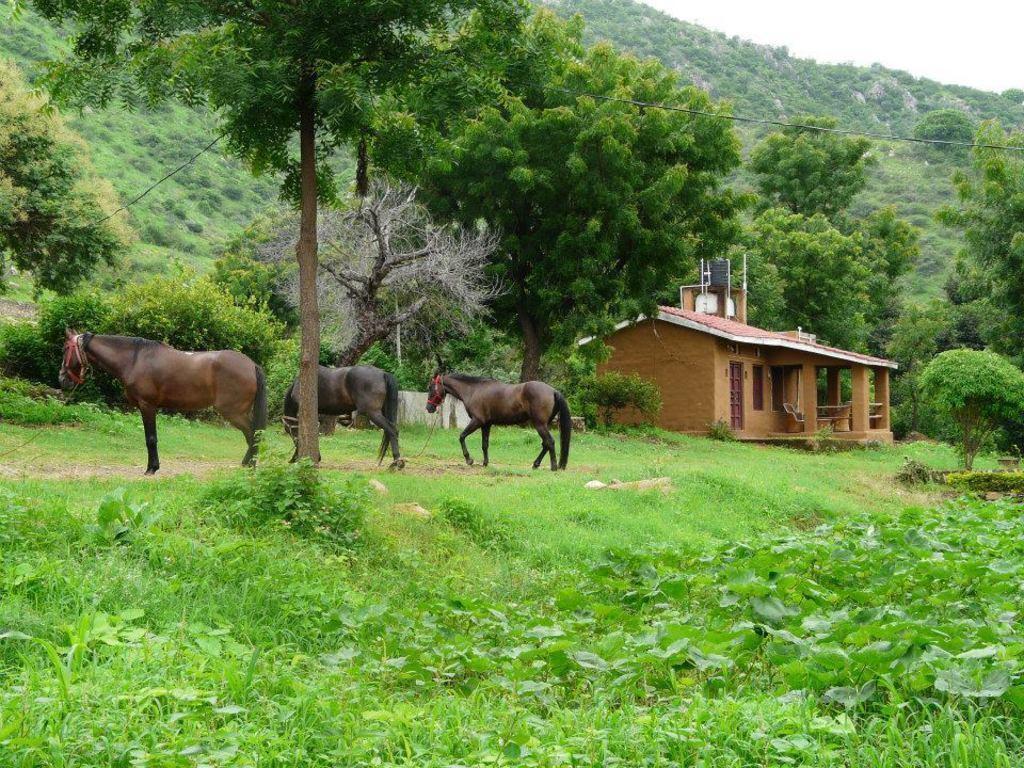 Вилла Krishna Ranch Удайпур Экстерьер фото